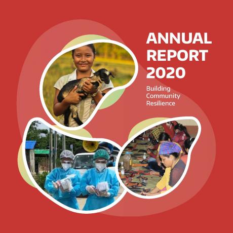 2020 AAM Annual Report